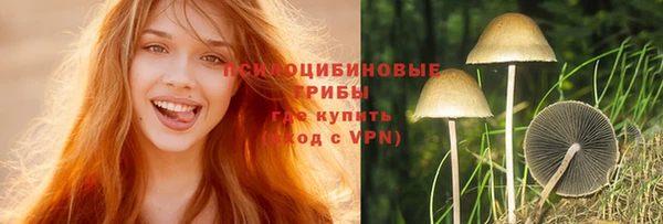 амф Горняк