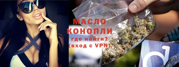 амф Горняк