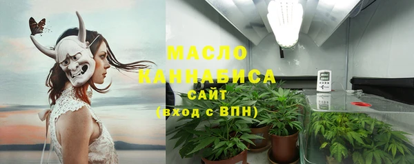 амф Горняк