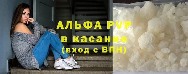 apvp Гусев