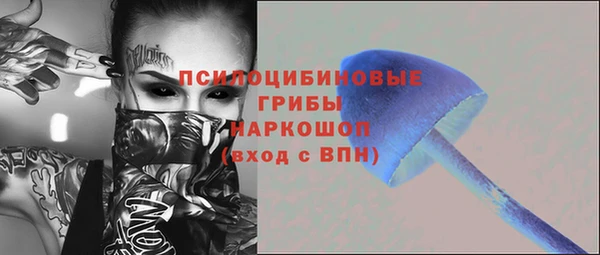 не бодяженный Горно-Алтайск