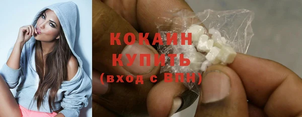 амф Горняк