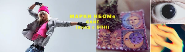 амф Горняк