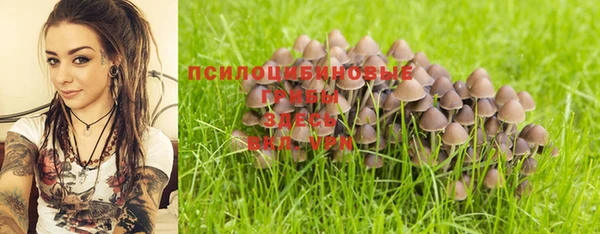 apvp Гусев