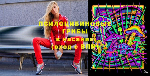 не бодяженный Горно-Алтайск
