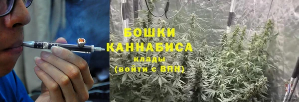 не бодяженный Горно-Алтайск